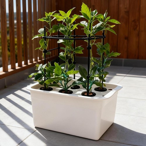 Hydroponic system growing - system,