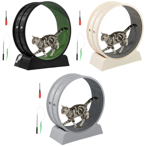 Cat exercise wheel - exercise,