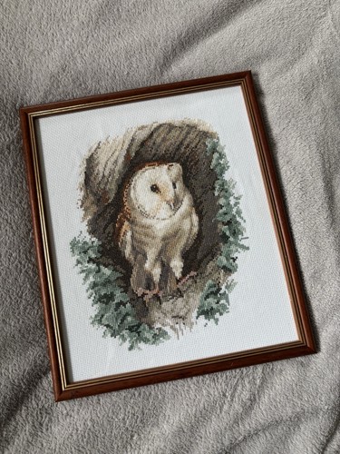 Barn owl crosstitch picture - barn,