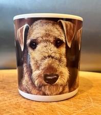 Airedale Terrier By Pollyanna