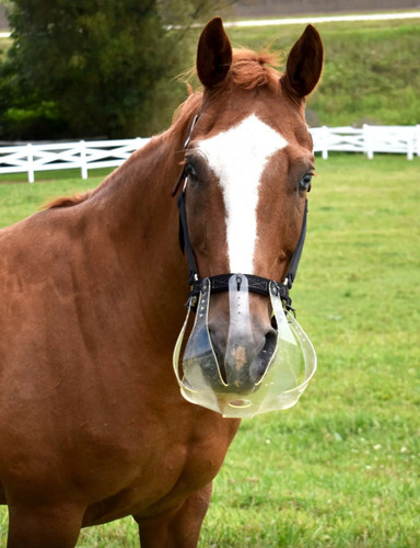 Thinline grazing muzzle - muzzle, 2.5cm