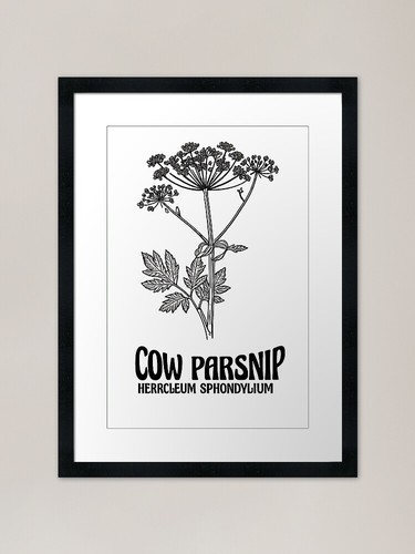 Vintage poison botanical - poison,