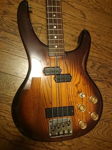 Washburn active bass with - washburn,