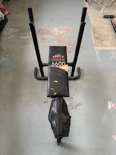York fitness weight training - fitness,