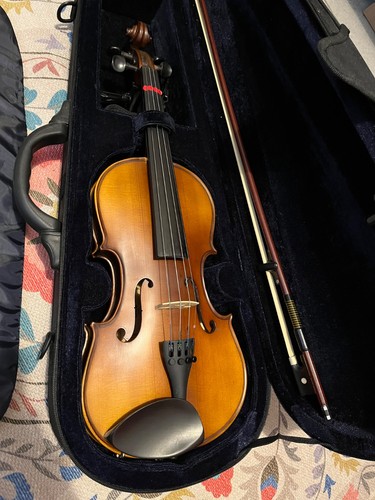 Sandner violin with - sandner, 4/4