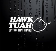 Funny Car Sticker Caravan Sticker Motorhome Sticker Hawk Tuah Spit On That W190