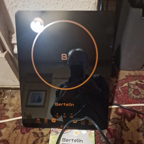 Bertelin electric induction - electric,