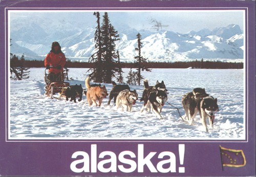 Alaska dog sled - sled, postcard