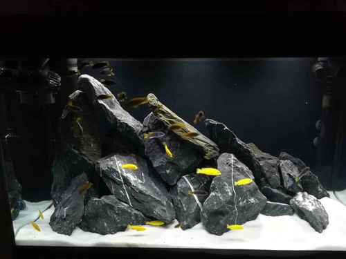 Aquarium stone rock natural - stone,