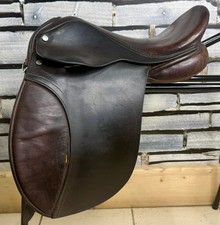14 1/2” Wide English Pony