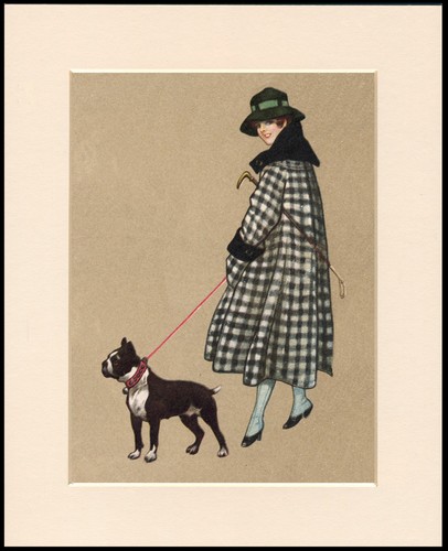 Boston terrier dog art print - dog,
