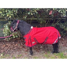 Ruggles 50g Turnout Rug  for Shetland, Donkey, Miniature, Section A Ponies
