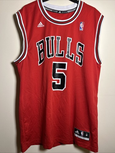 Chicago bulls carlos boozer 5 - bulls,