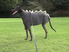 dog dinosaur jumper fleece