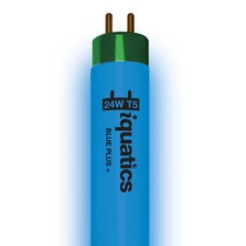 iQuatics Aquarium Fish Tank