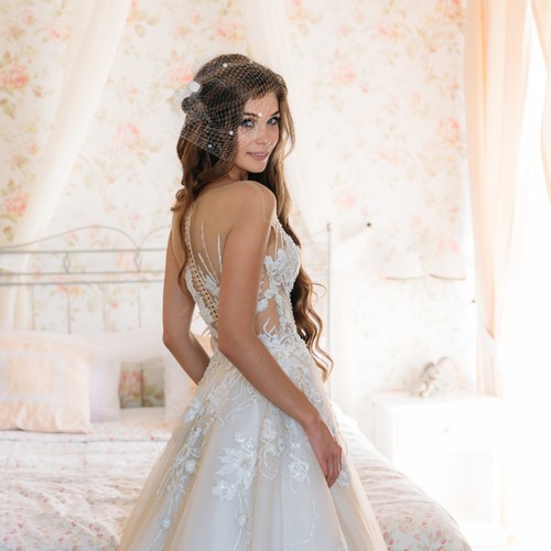 Wedding white birdcage - wedding, veil