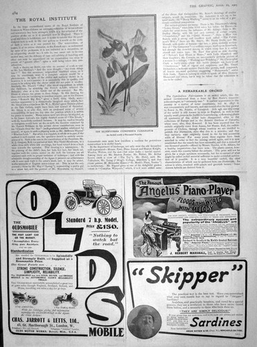 Original old antique - antique, print