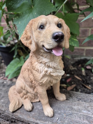 Golden retriever garden - golden,