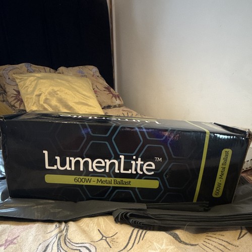 Lumenlite 600w metal ballast - lumenlite,
