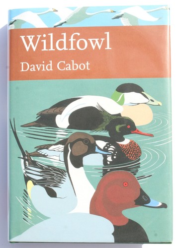 Wildfowl david cabot 2009 - wildfowl, by