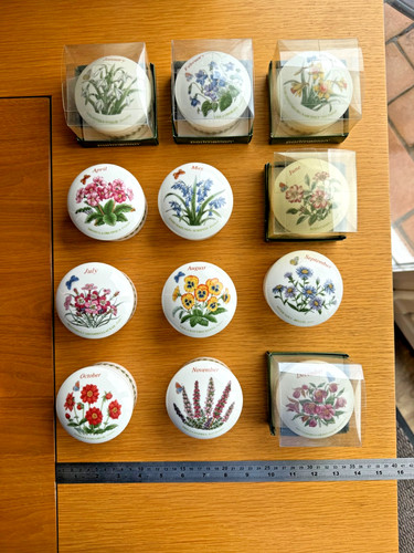 Choice portmeirion flower - of,