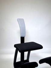 Varier Variable Backrest