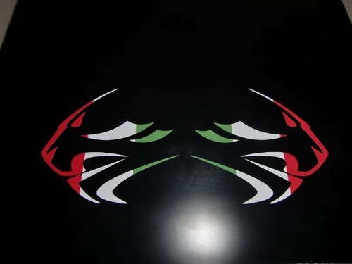 Aprilia racing lion - racing, head
