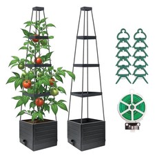 Trellis for Climbing Plants