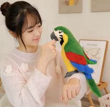 Simulation Colorful Parrot