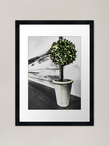 Topiary framed art - framed, print