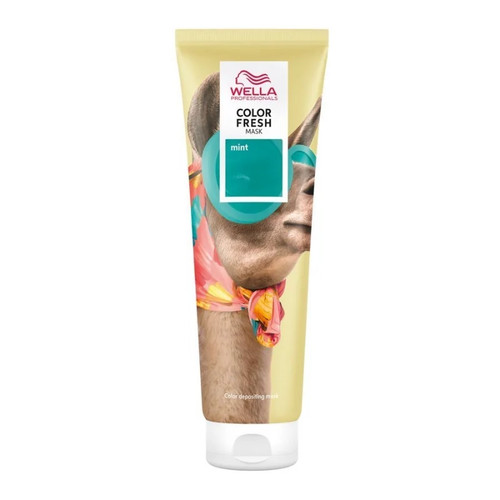 Color fresh mask - fresh,