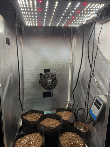 Stealth grow cabinet growbox - grow,