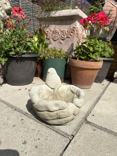 Robin hand bird - robin,