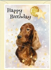 Irish Red Setter Dog (4"x 6") Birthday Card with blank inside - by Starprint