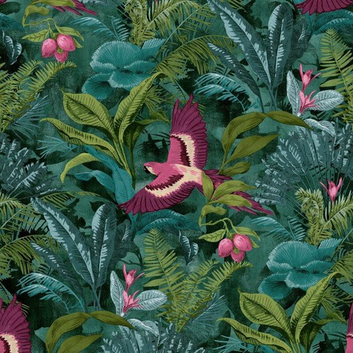 Rasch portfolio tropical - rasch, bird