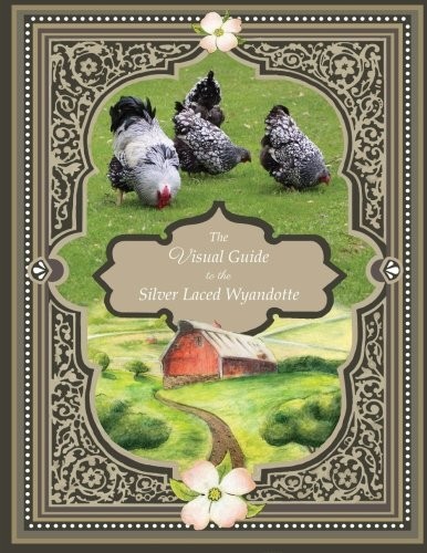 The visual guide silver - the,