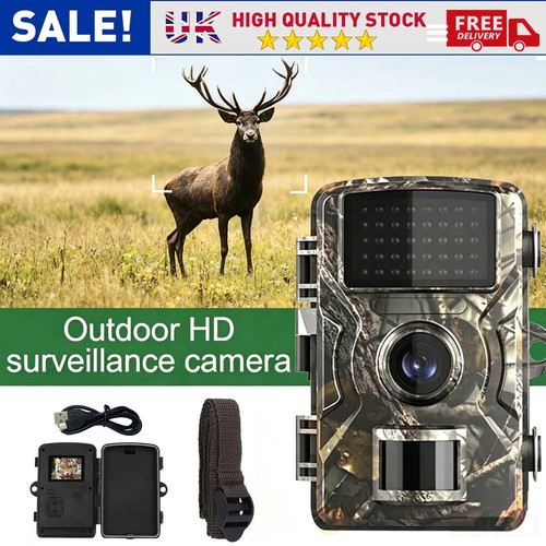 Outdoor wildlife trail - wildlife, camera