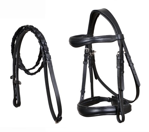Horse english all - horse, all-purpose