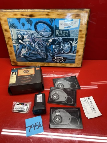 New harley security system - harley,