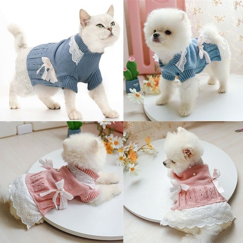 Pet cat puppy coat - pet, classic