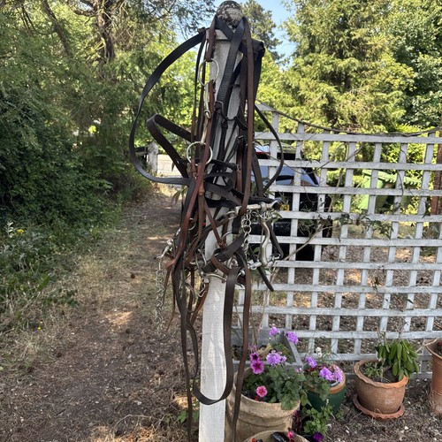 Horse tack job lot - horse,