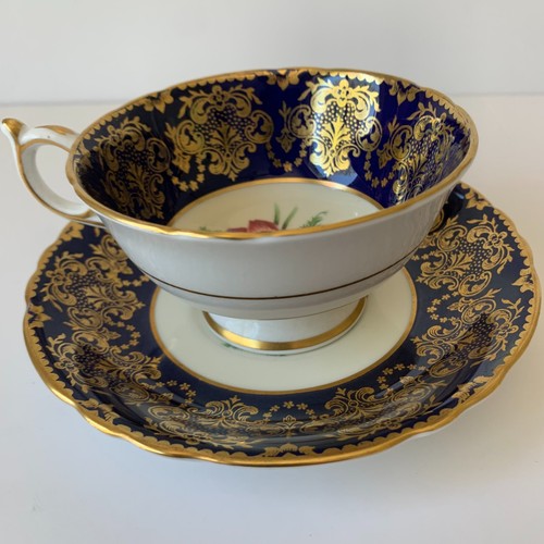 Paragon cobalt blue - blue, gold