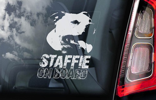Staffie car sticker - car, sticker,
