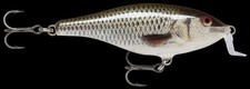 Rapala Shallow Shad Rap 5g 5cm Live Roach
