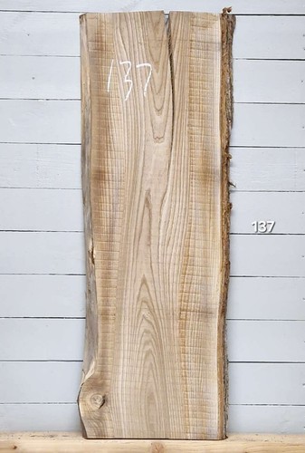 Elm live edge timber 1230mm - edge, x
