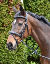 Rhinegold Elegance Wide Stitch Anatomical Leather Bridle,  2 Colours, 4 Sizes