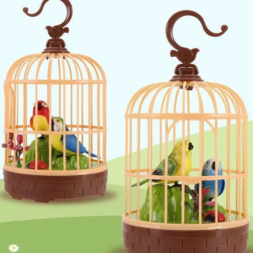 Singing chirping bird in a - &,