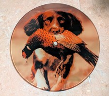 Stunning Dog and Pheasant