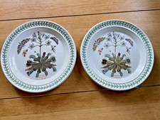 Pair Vintage Portmeirion - Botanic Garden -Venus Fly Trap Dinner Plates Set of 2