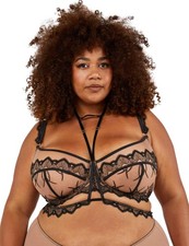 Playful Promises Clara Bra and Harness PPG084 Womens Sexy Lingerie